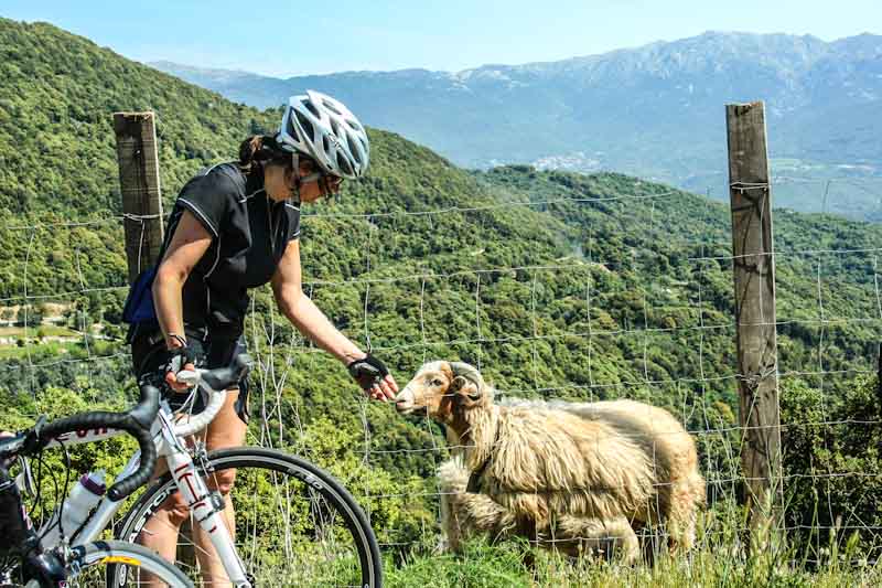 https://bcyclet.dev06.fr/wp-content/uploads/2020/02/bike-tour-corsica-51.jpg