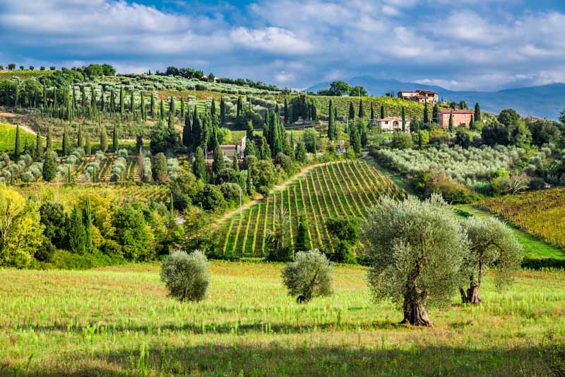 https://bcyclet.dev06.fr/wp-content/uploads/2020/02/tuscany-bike-tours-bcyclet-31-1.jpg