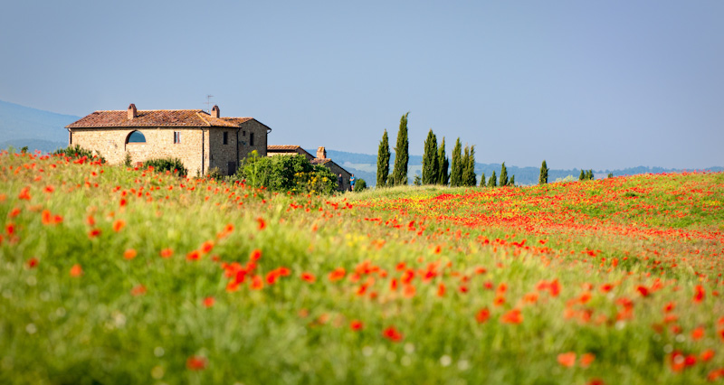 https://bcyclet.dev06.fr/wp-content/uploads/2020/02/tuscany-bike-tours-bcyclet-9.jpg